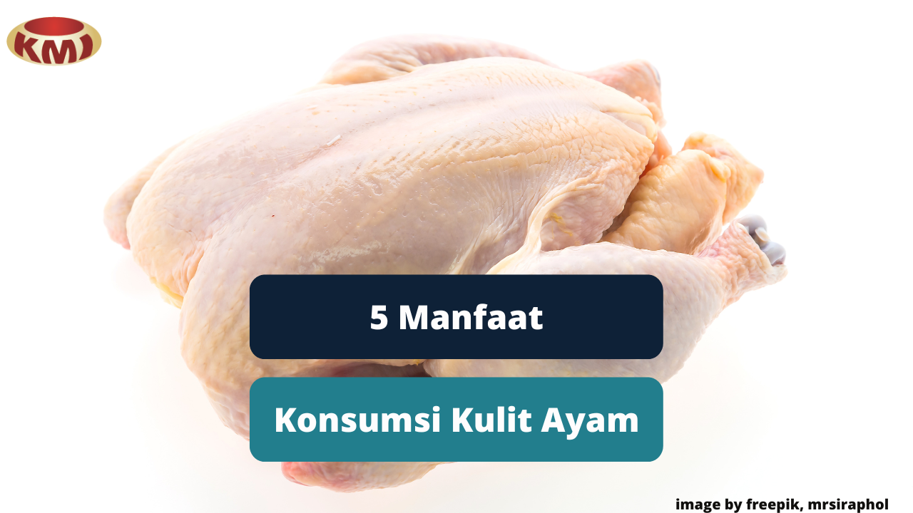 Berikut Ini 5 Manfaat Konsumsi Kulit Ayam